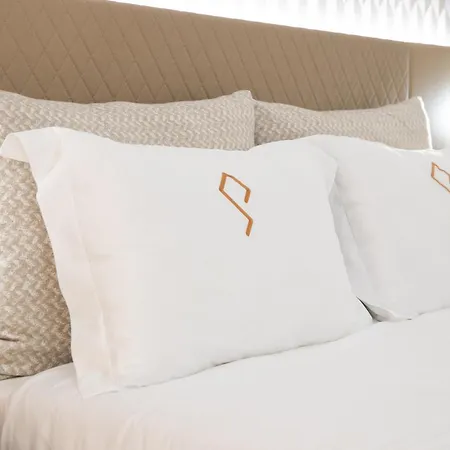 Palatial בית הארחה בראגה