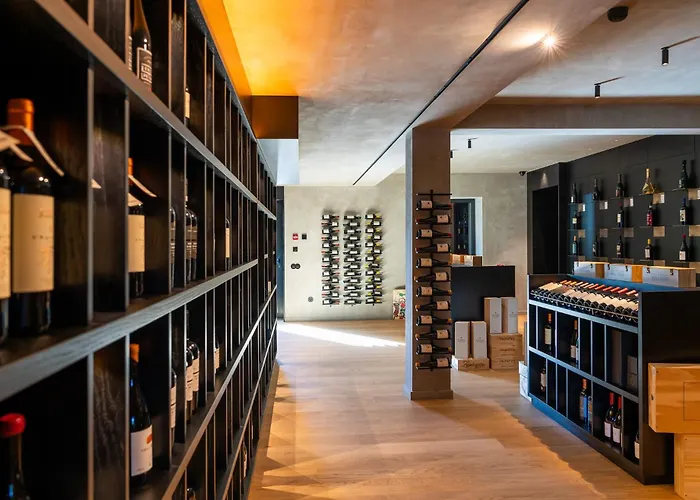 Pensionat Palatial 4*